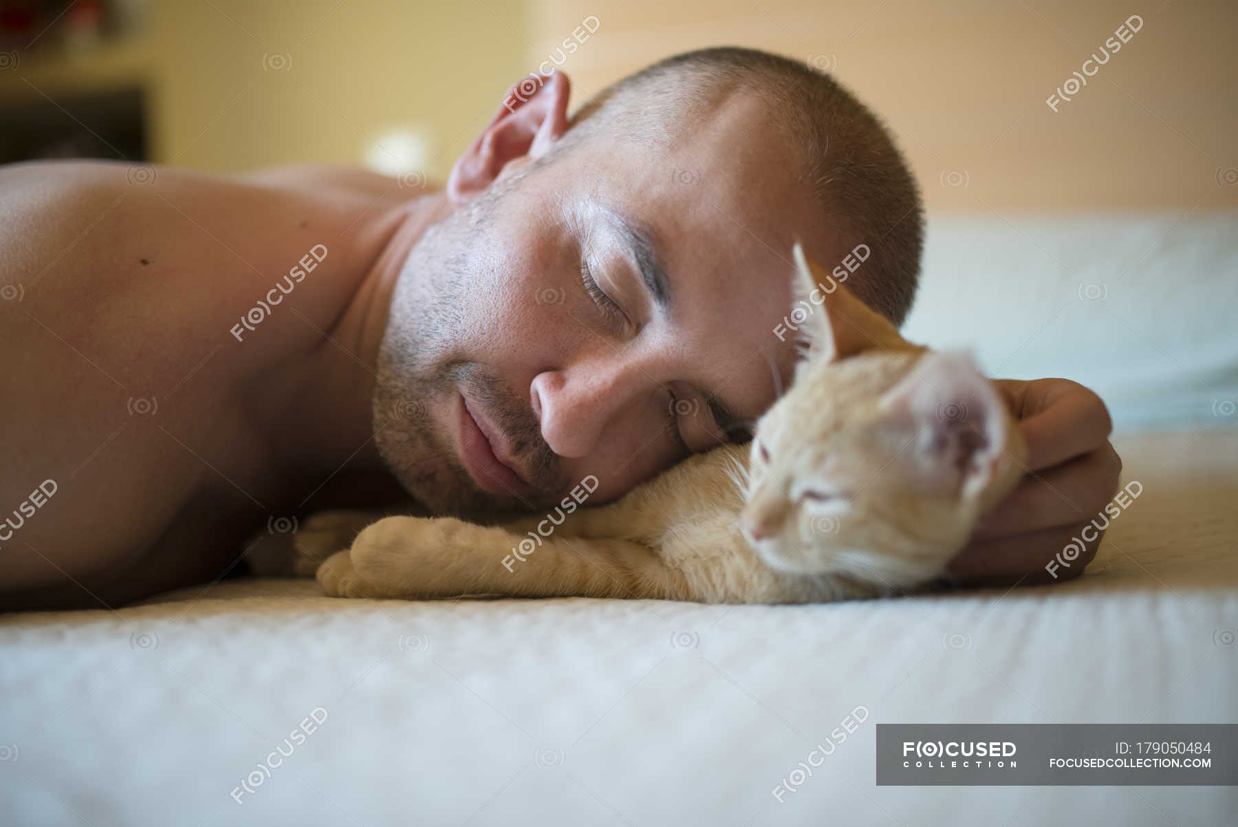 Man And Kitten Lying On Bed Close Up One Man Only Tabby Stock Photo 179050484