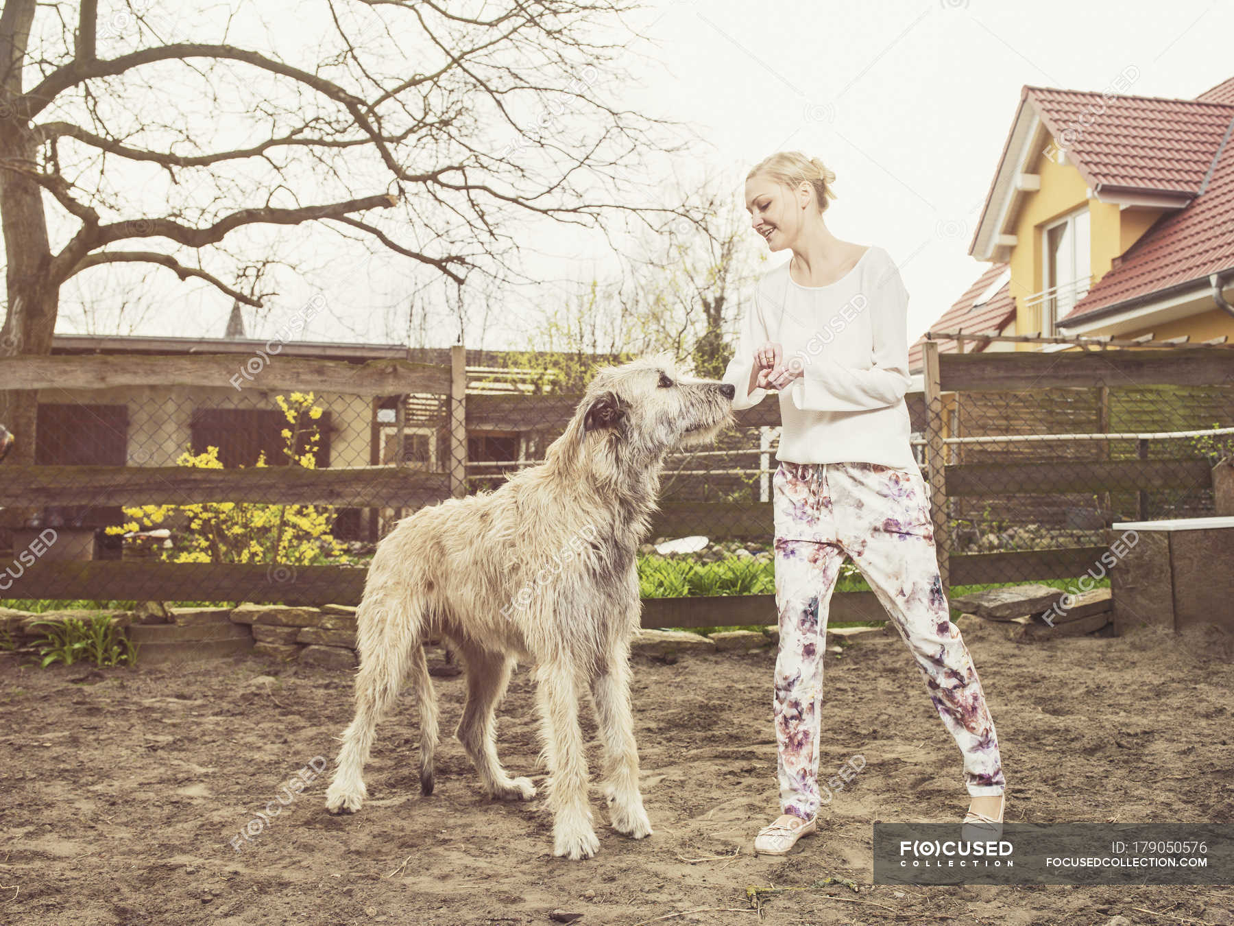 can a cane paratore and a irish wolfhound be friends