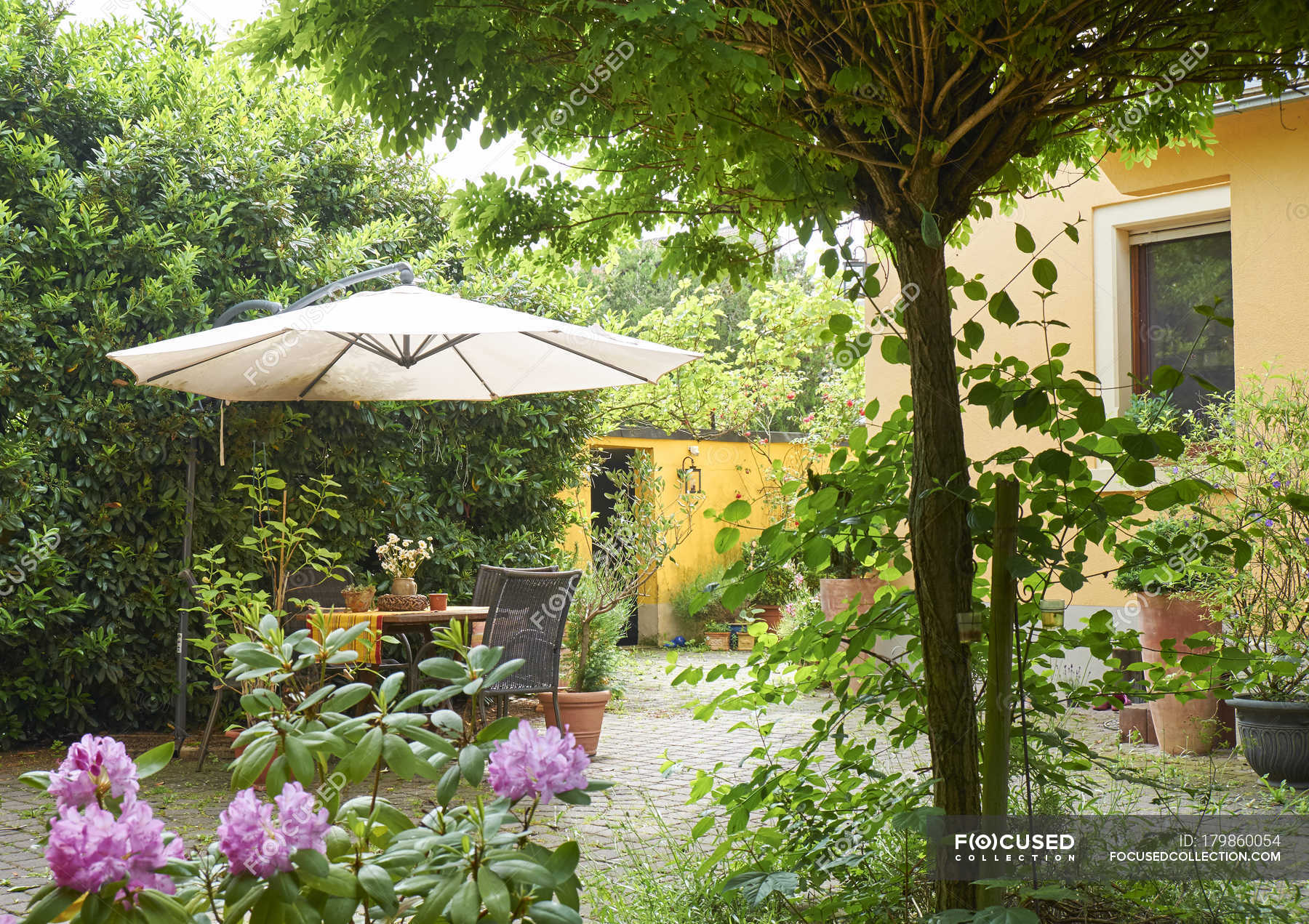 cozy-yard-of-an-one-family-house-in-summer-background-sunshade