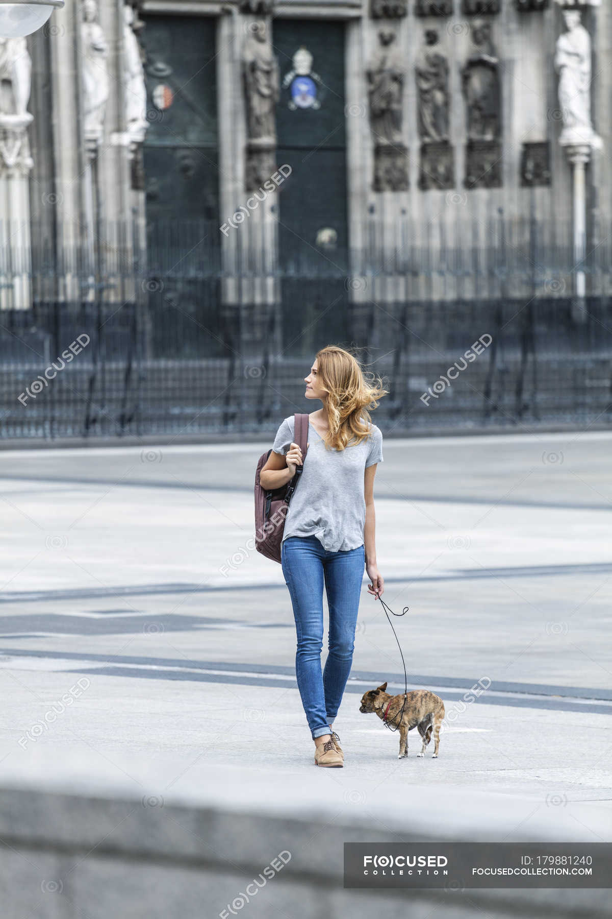 how far should little dogs walk