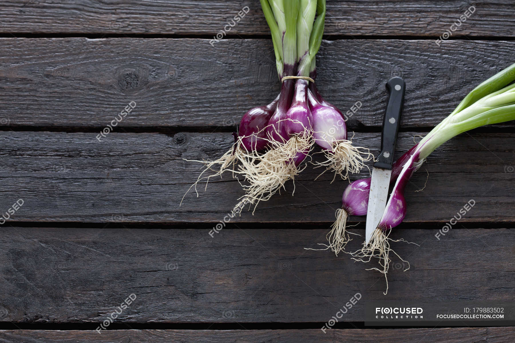 Bunch of red spring onions — tops, fresh Stock Photo 179883502