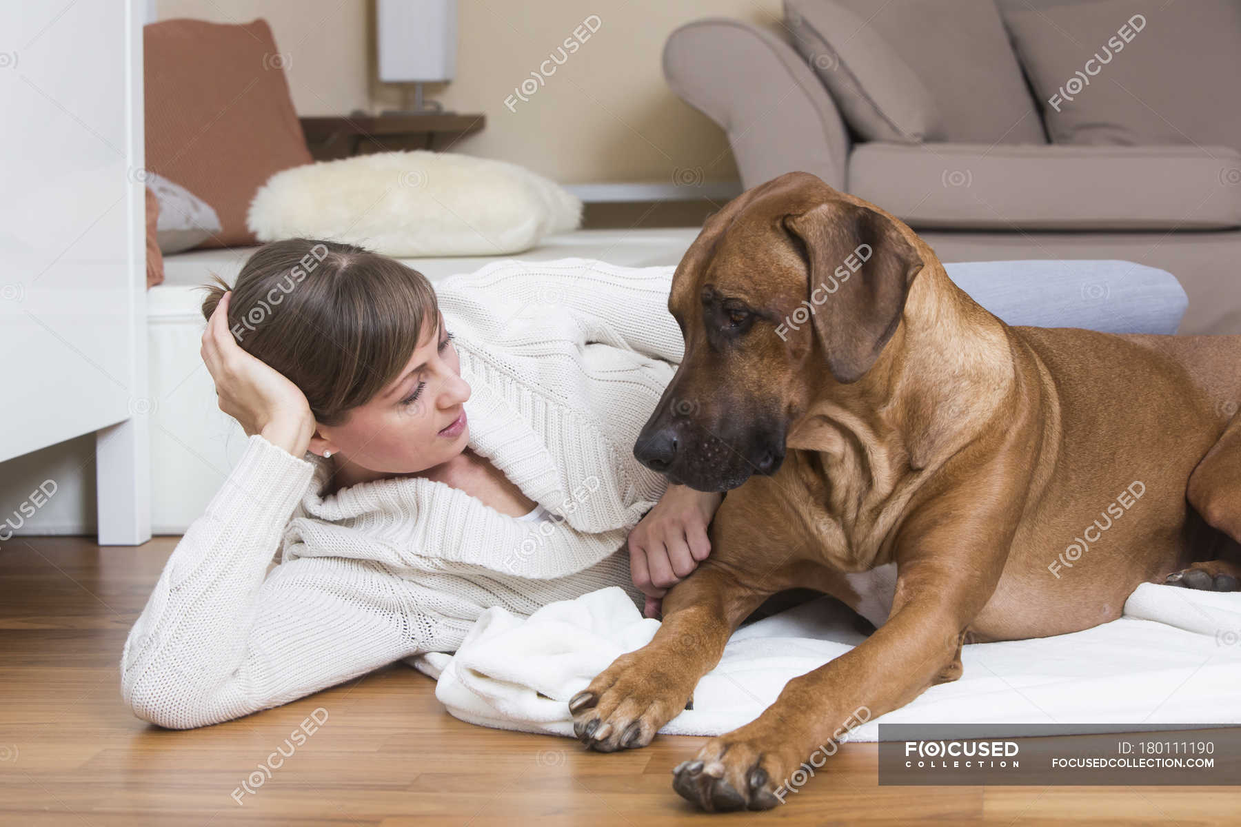 are rhodesian ridgebacks affectionate