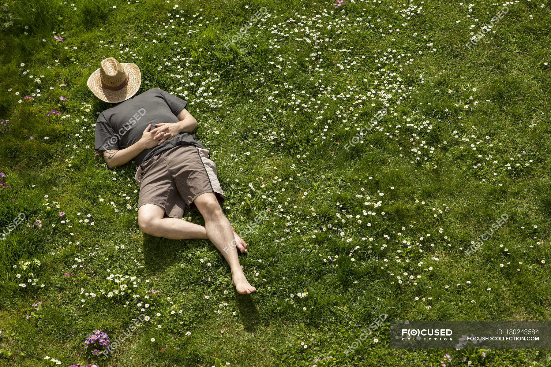 overhead-view-of-man-lying-in-grass-relaxing-outdoor-resting-stock