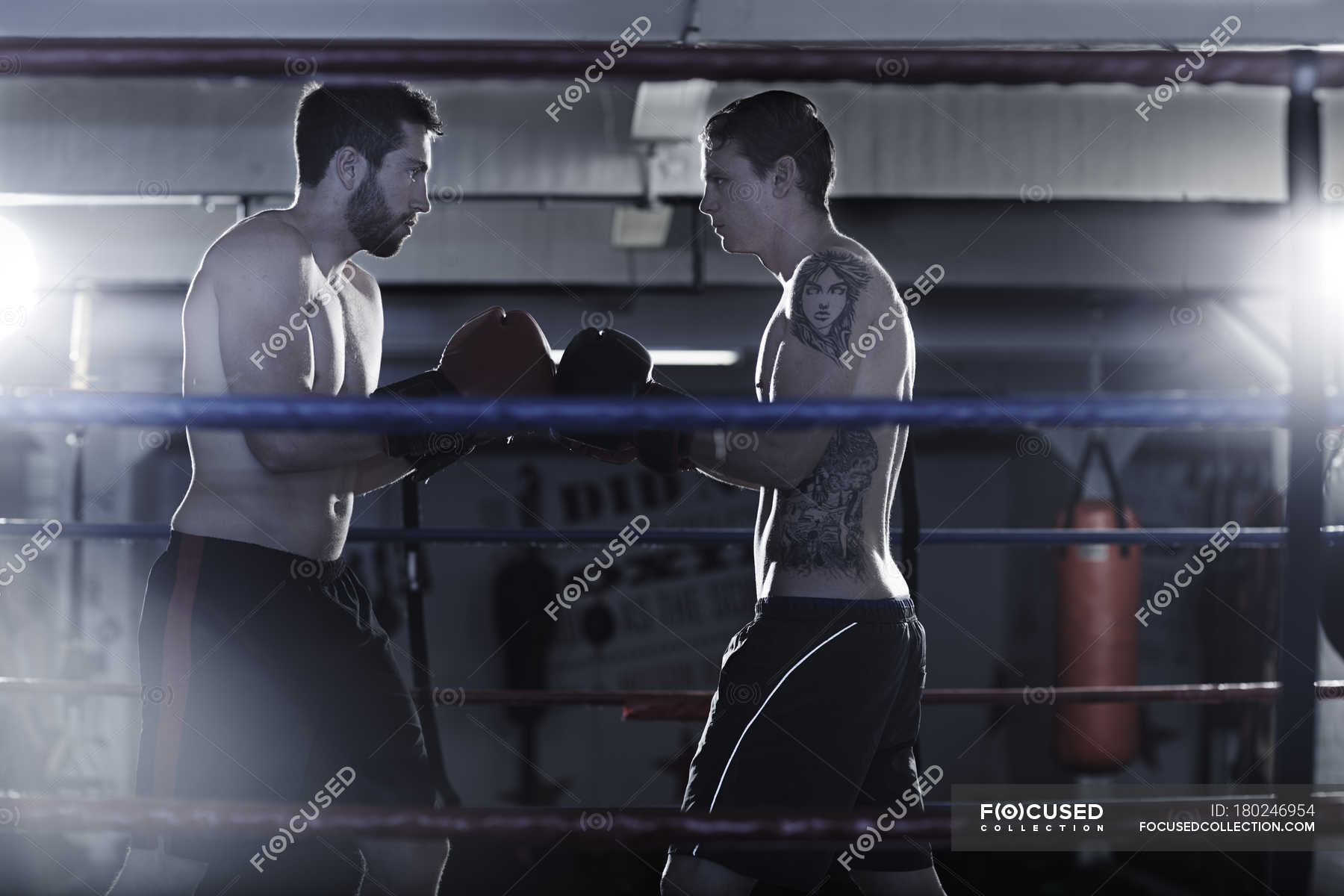 Два боксера на ринге. Дулзын Бабудоржиев фото на ринге. Who is a guy between two Boxers in the Box Competition. Скачай бокс на двоих