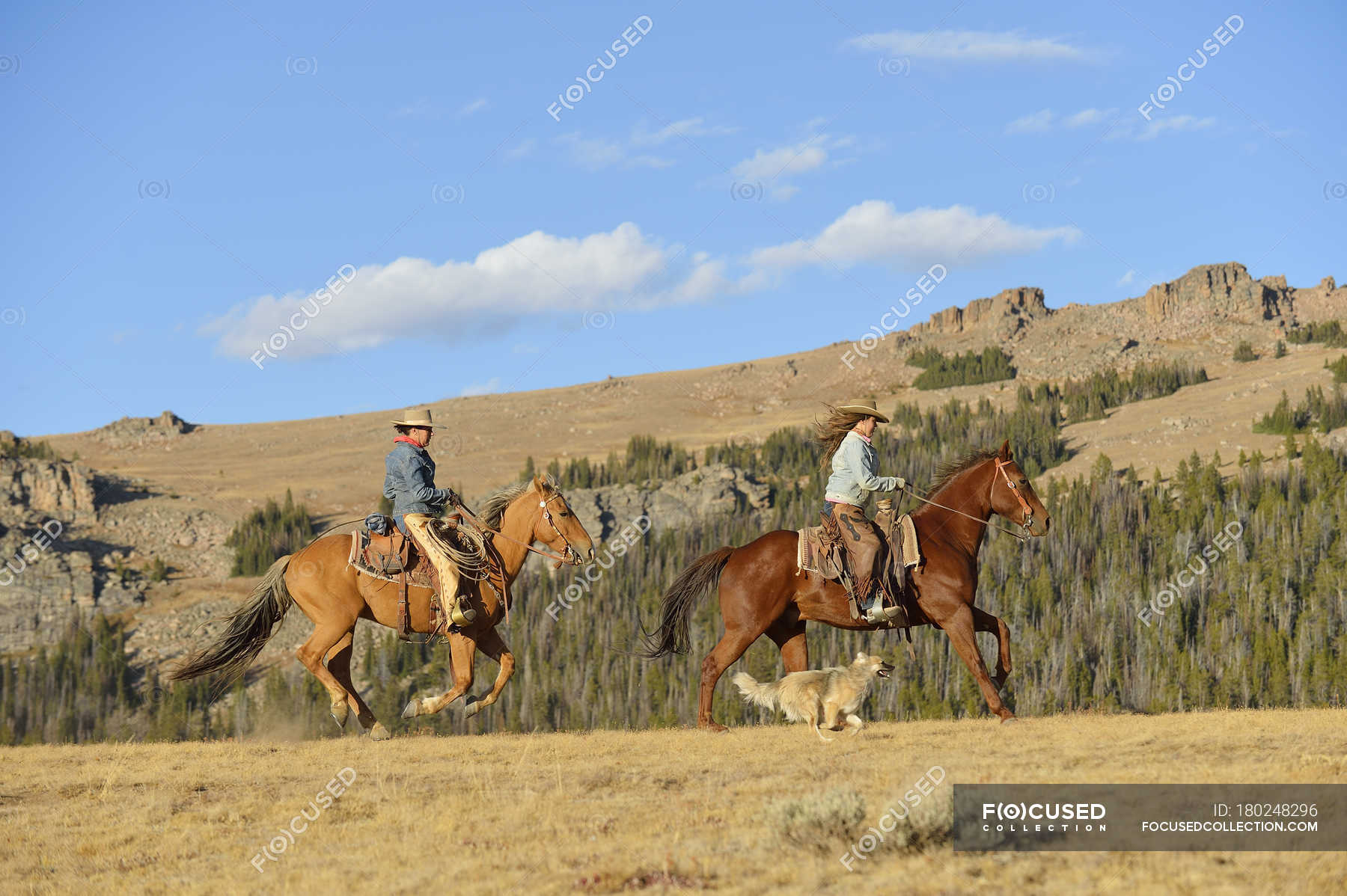 Ride Him Cowgirl