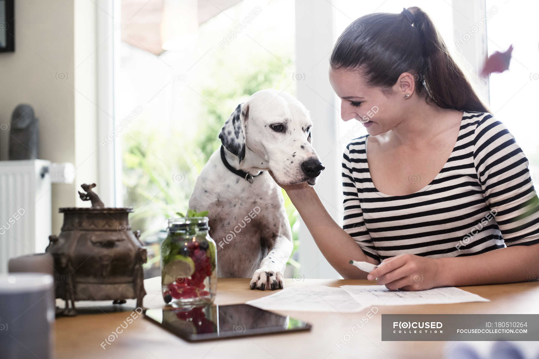 Smiling Young Woman At Desk Petting Dog Creativity Stroking
