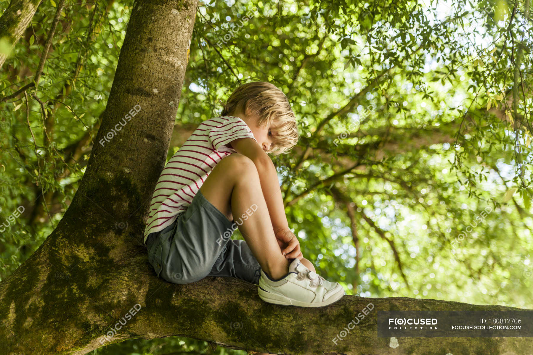 focused_180812706-stock-photo-little-boy-sitting-tree-forest.jpg