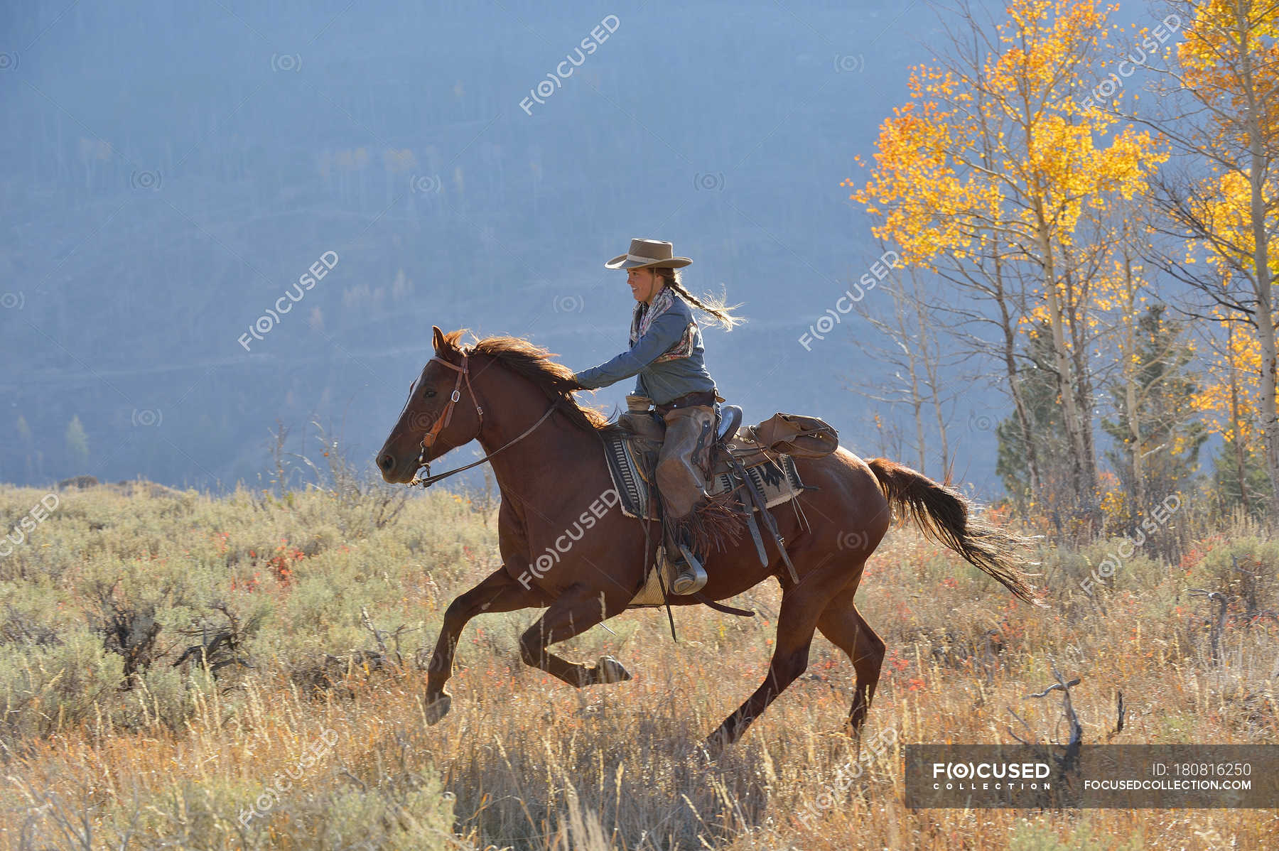 Riding Cowgirl In Autumn Idyllic Side View Stock Photo 180816250