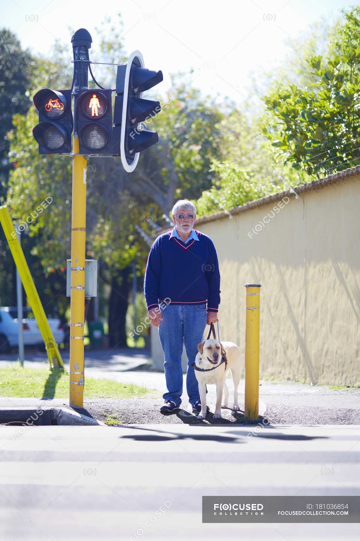 how long is the wait for a guide dog