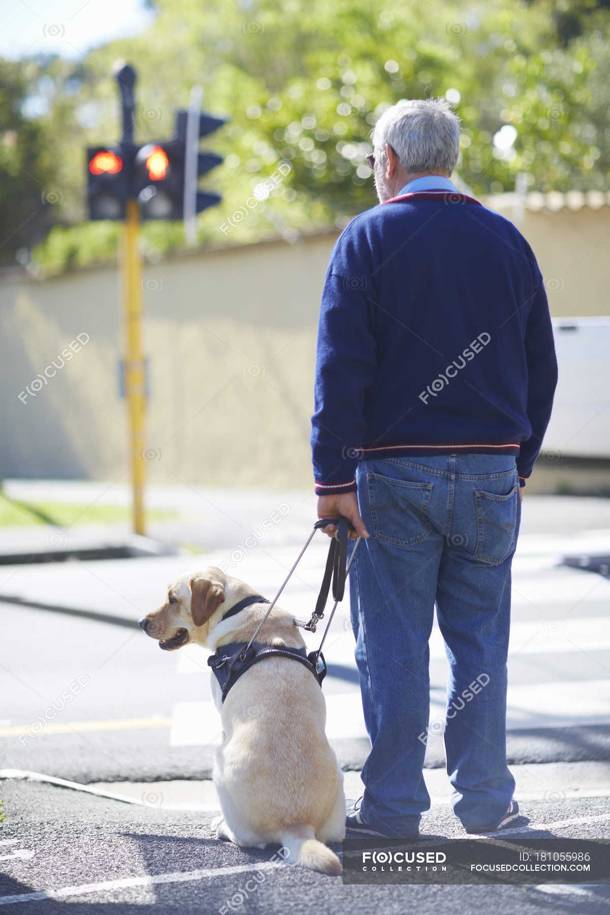 how do blind people clean up after guide dog