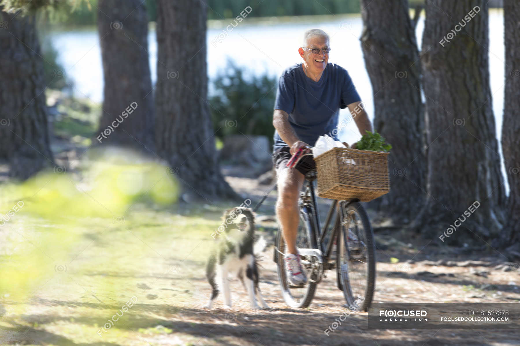 Fahrradfahren Mit Hund Im Korb Hundeschlafplatz