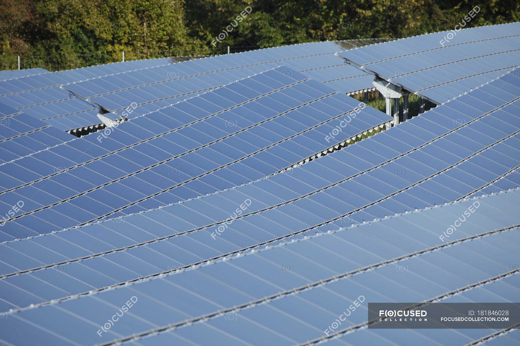 Close Up Of Modern Solar Panels At Daylight Bavaria Germany Tilted Tree Stock Photo