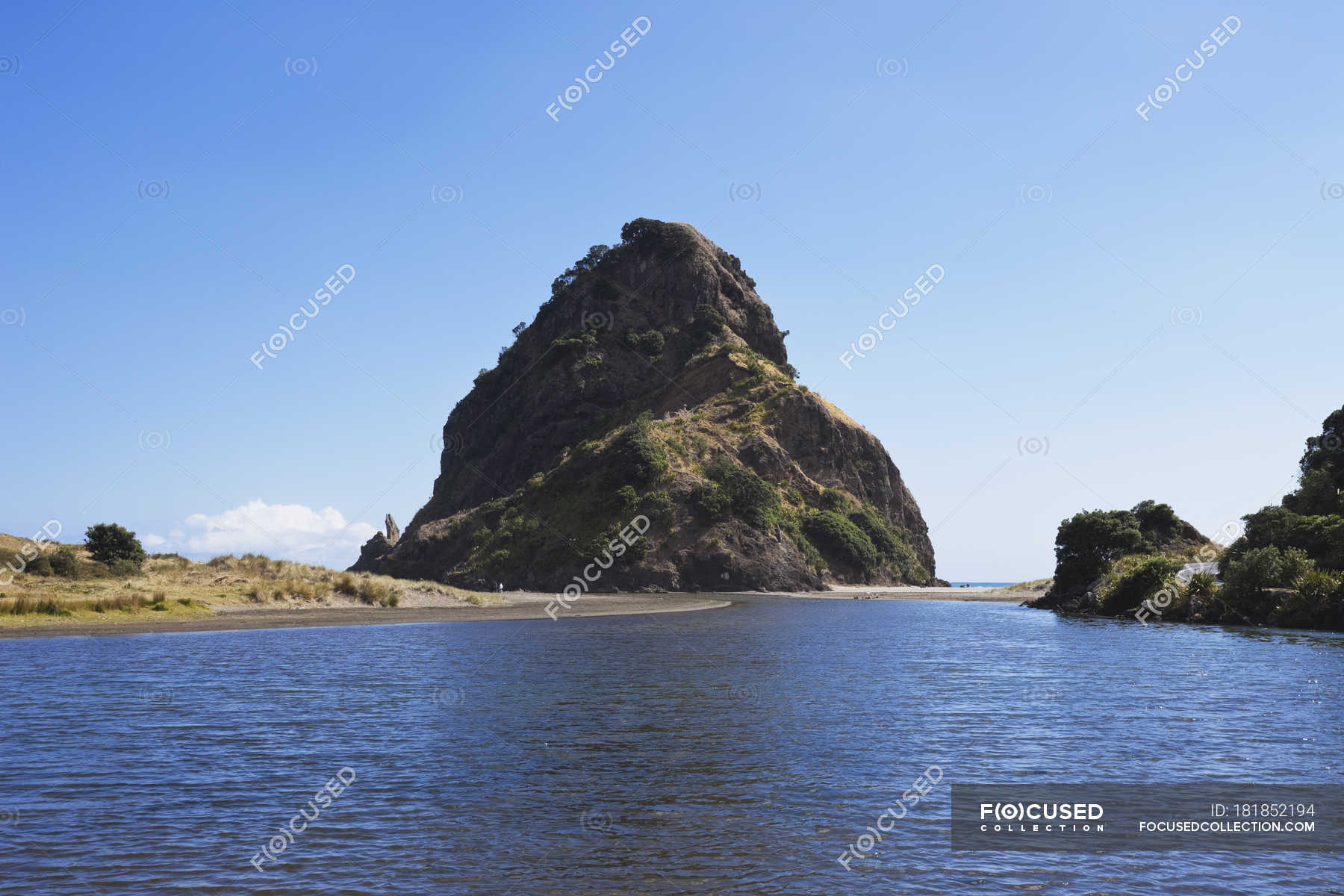 View Of Lion Rock At Piha Beach New Zealand Tranquil Scene