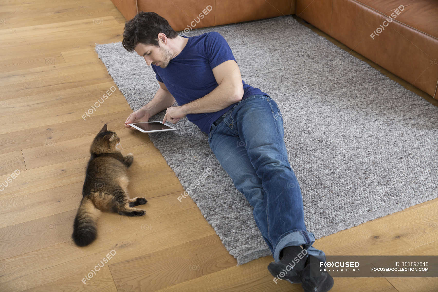 Пол с котами