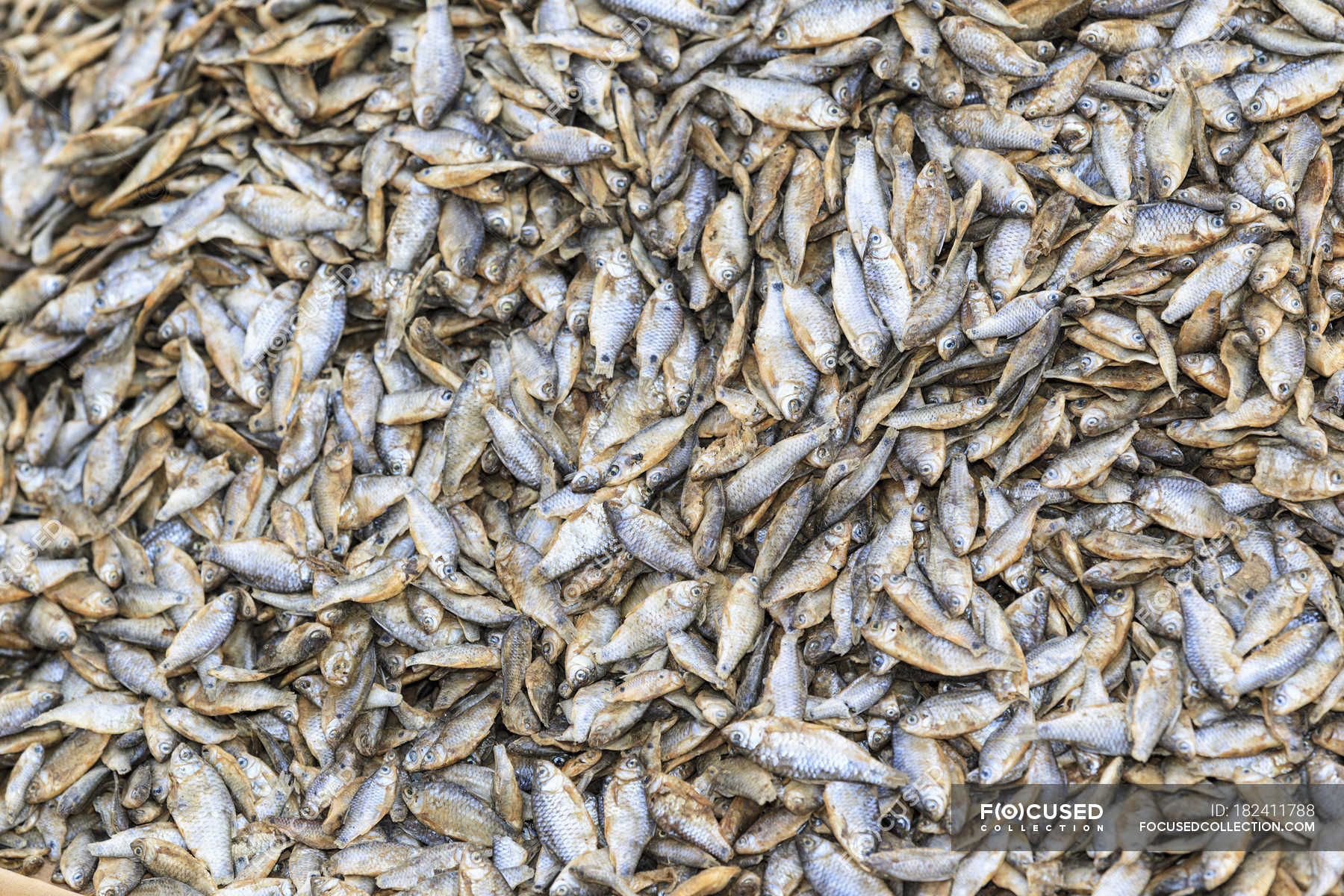 close-up-dry-fish-in-thailand-market-stock-image-colourbox