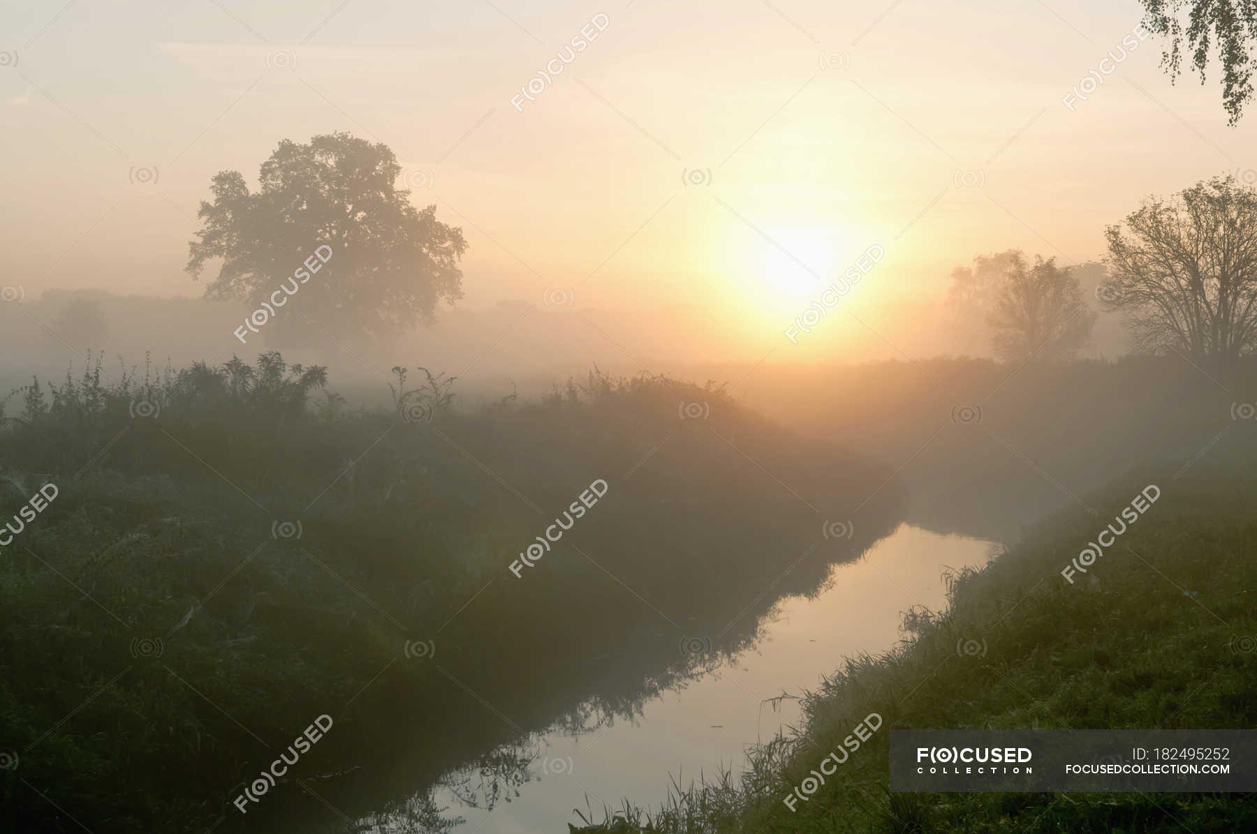 View Of Trees And River In Morning Mist At Brandenburg Germany Sun Plants Stock Photo