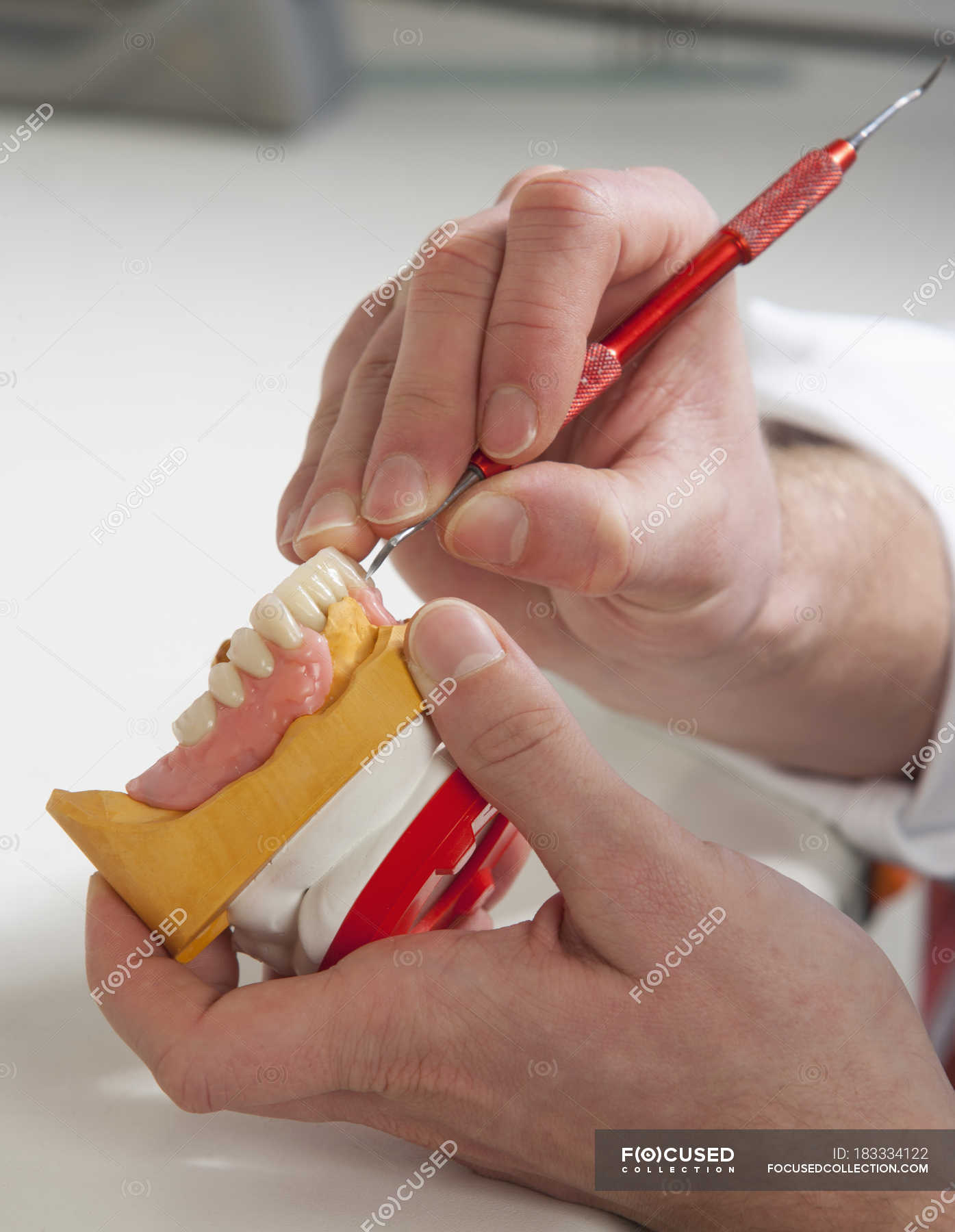 Dentist with dentures in dental laboratory — young man, dental