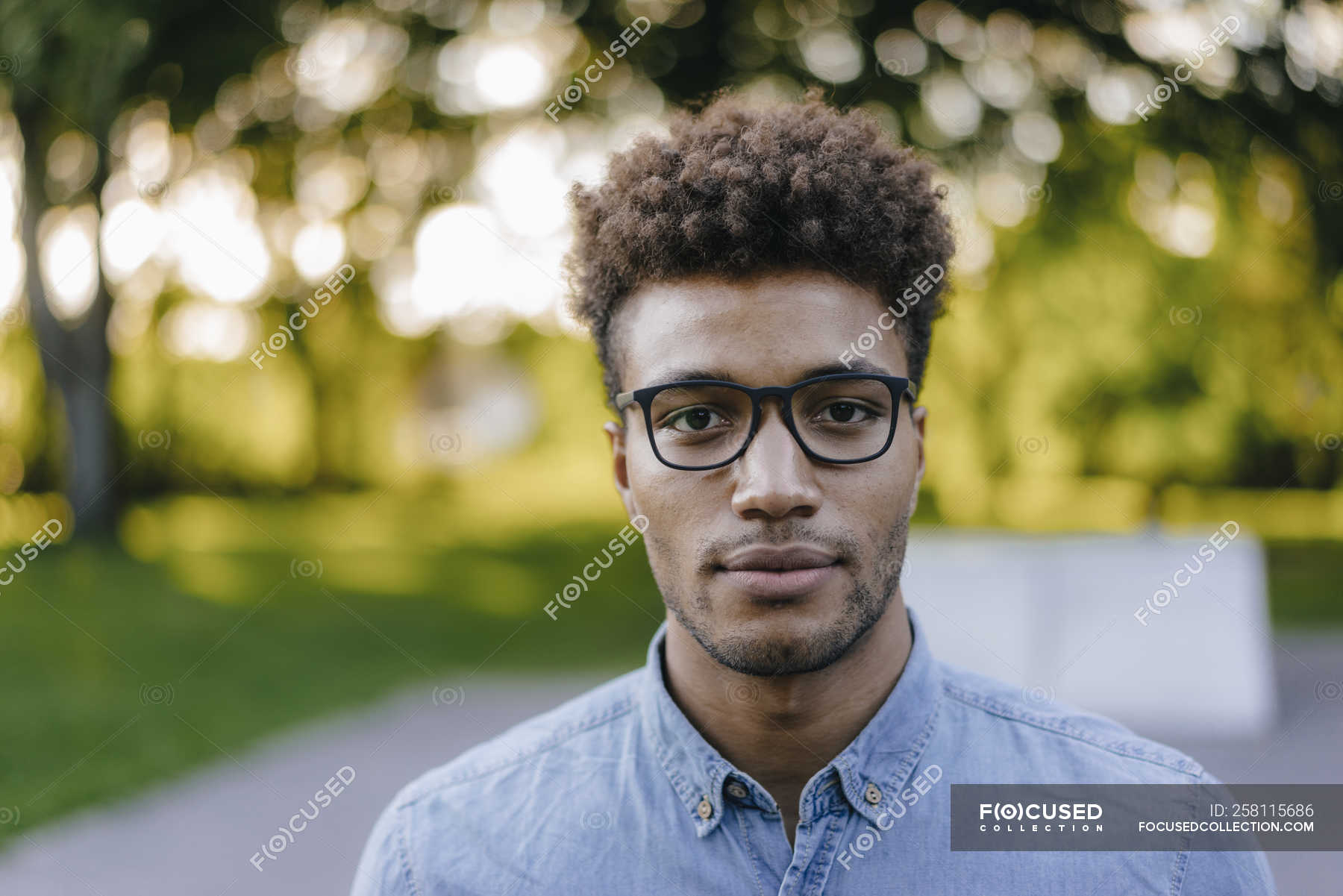 Portrait of young african american man wearing glasses in park — shirt,  student - Stock Photo | #258115686