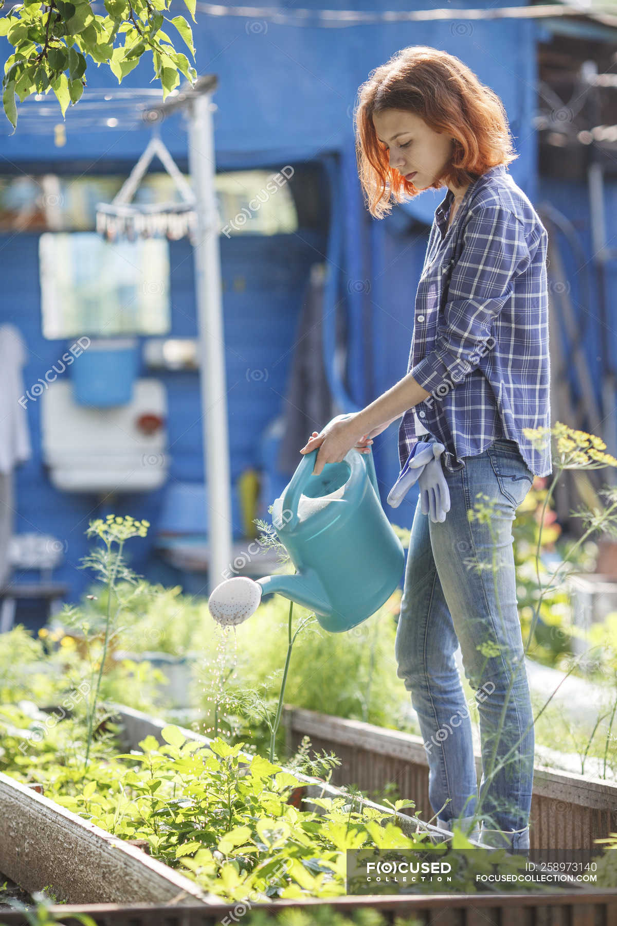 Woman Watering Plants Benjaminjoshiah