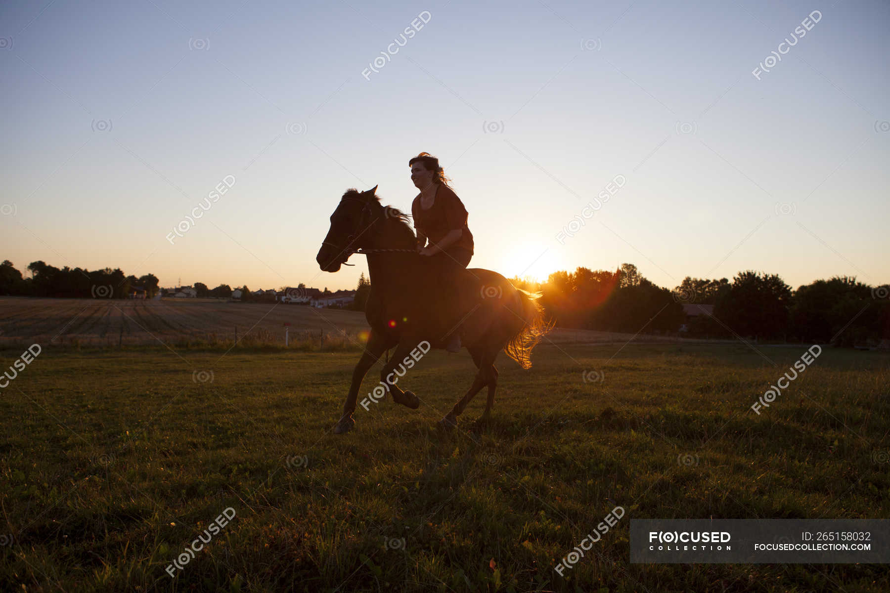 horse and rider in sunset