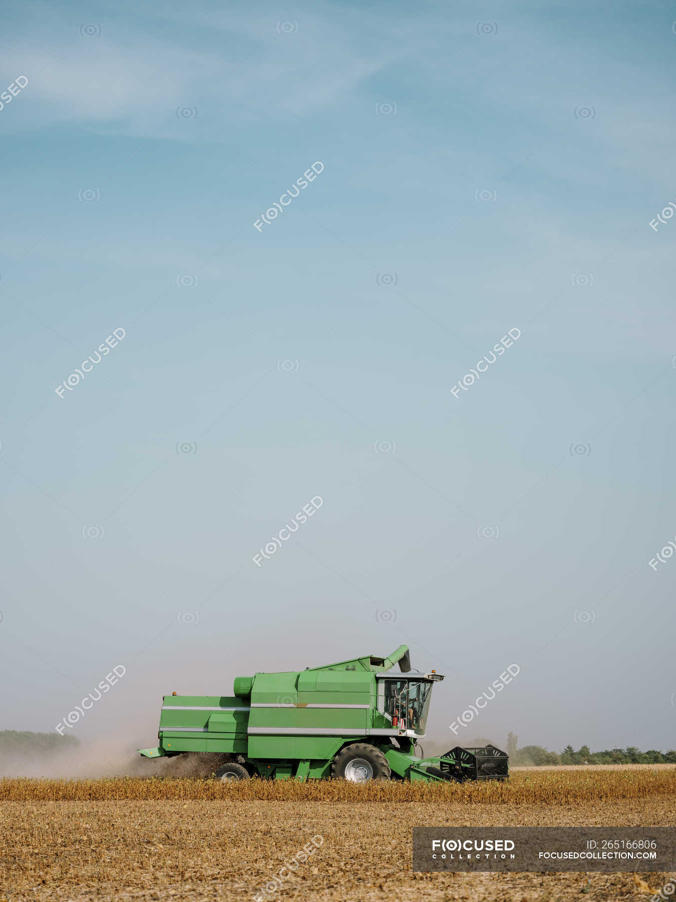 Serbiya Voevodina Kombajn Na Soevom Pole Kultivaciya Fermer Stock Photo 265166806