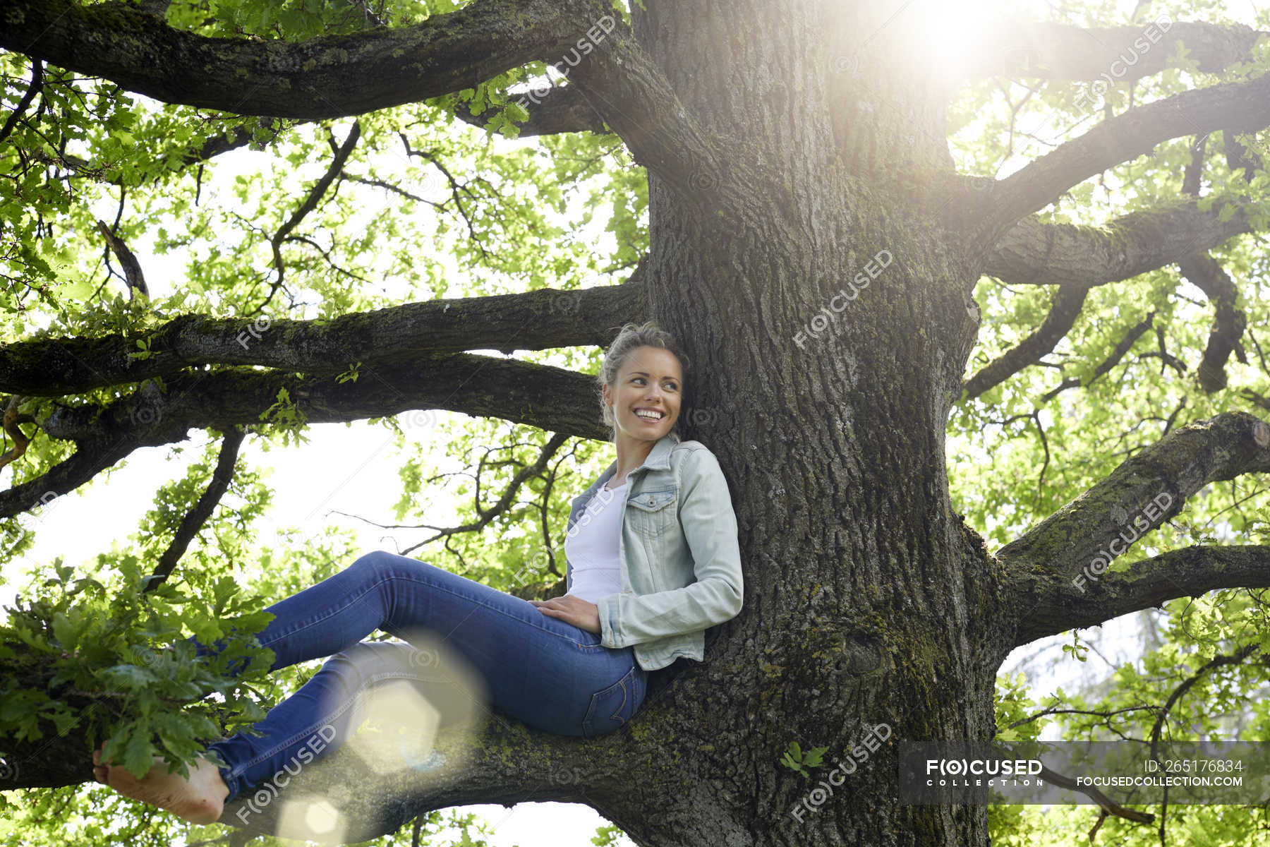 https://st.focusedcollection.com/14026668/i/1800/focused_265176834-stock-photo-smiling-woman-sitting-branch-relaxing.jpg