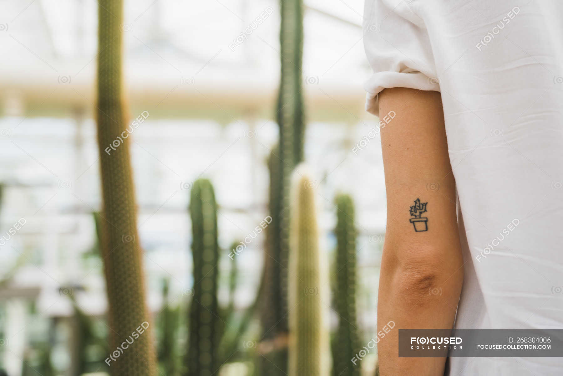 Small cactus in a pot tattoo  Tattoogridnet