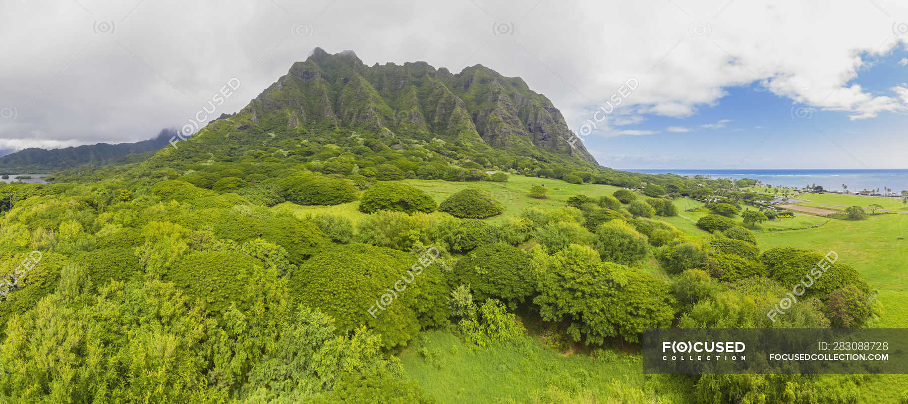 Kamehameha highway Stock Photos, Royalty Free Images Focused