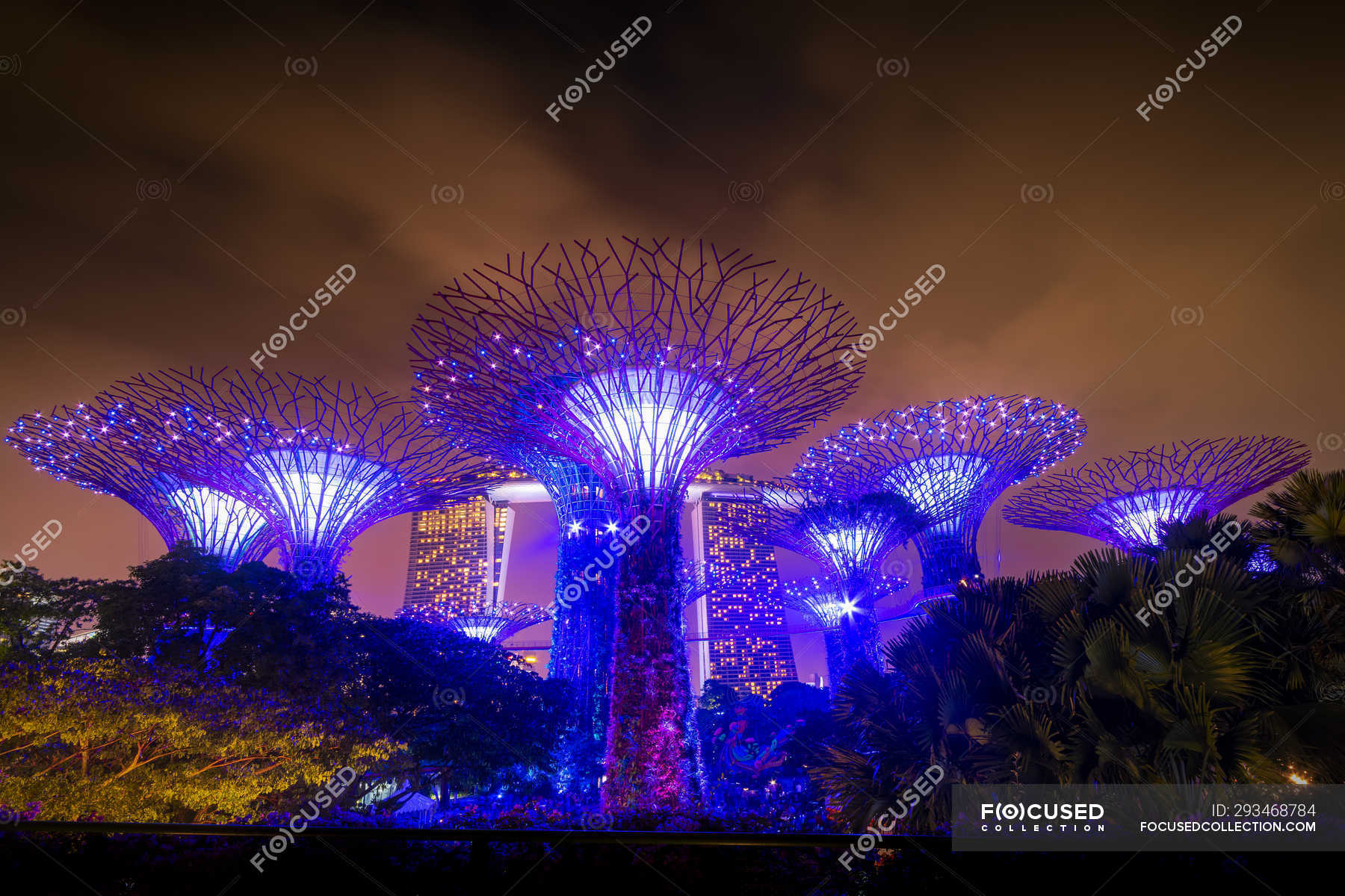 Singapore Marina Bay Gardens By The Bay Super Trees At Night Architecture Supertrees Stock Photo