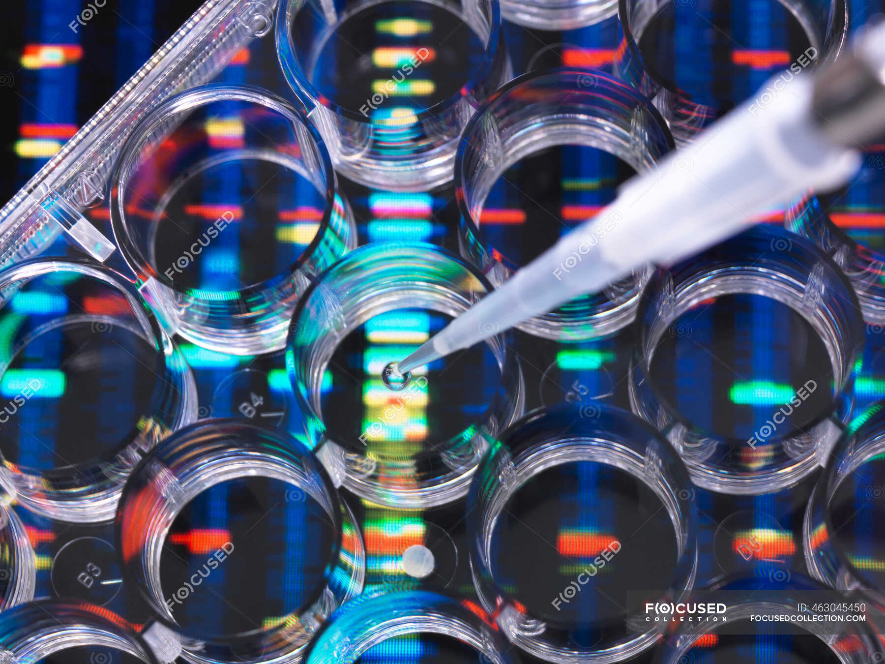 dna-research-samples-of-dna-in-a-multi-well-plate-ready-for-analysis