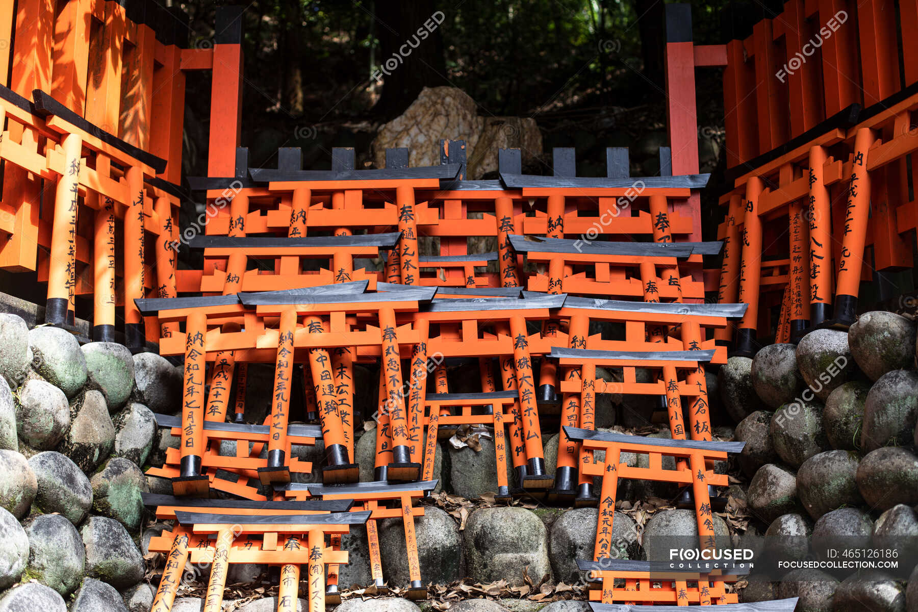 Torii Stock Photos Royalty Free Images Focused
