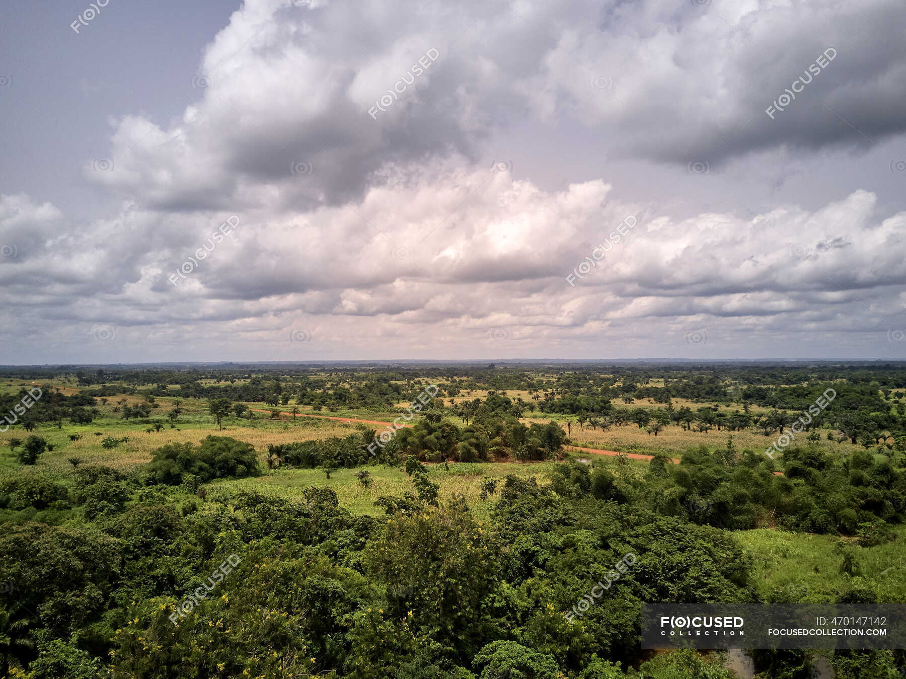 tapperhed Forstærker kompression Benin, Large white clouds over green African landscape — copy space,  horizon over land - Stock Photo | #470147142