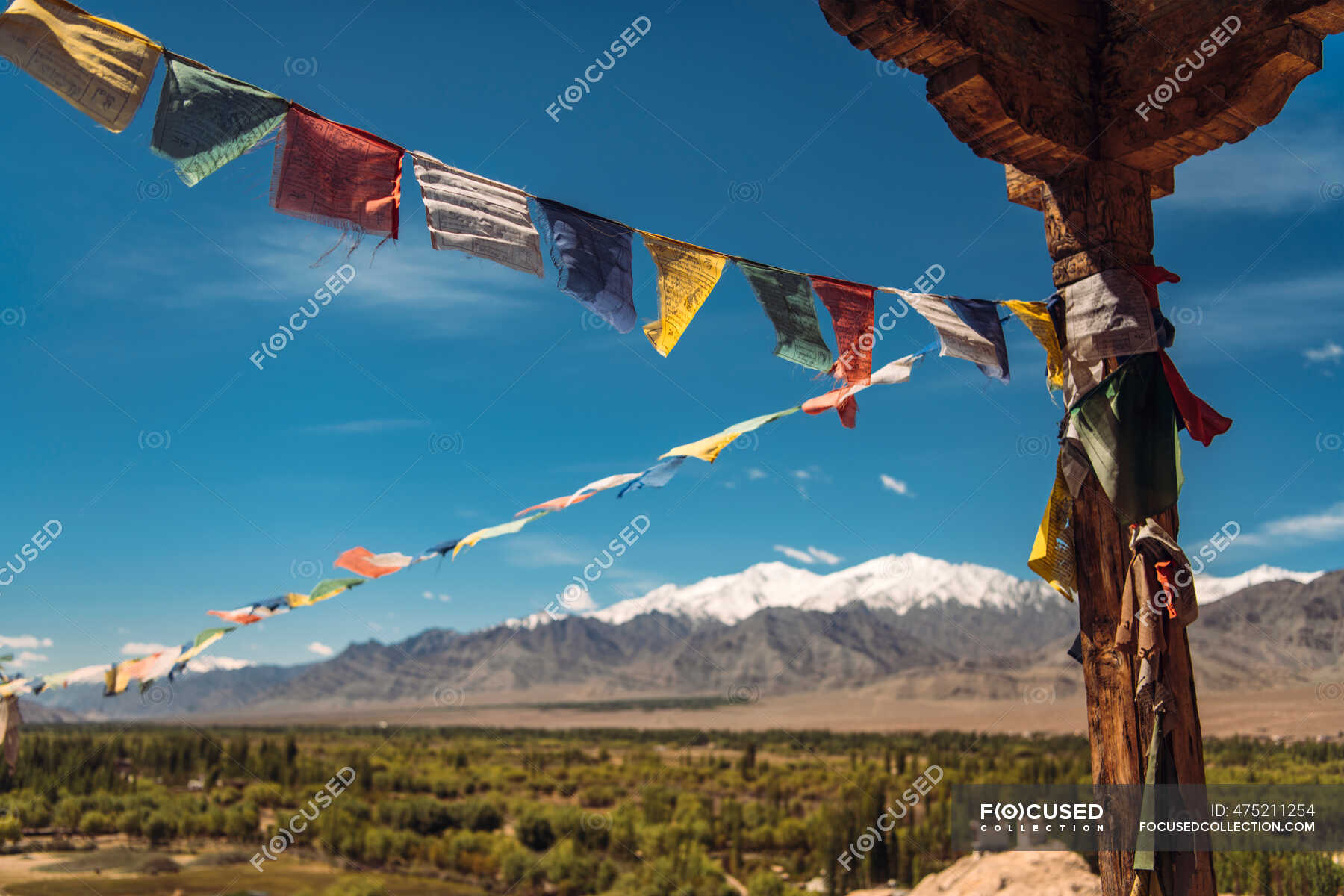 India, Ladakh, Colorful prayer flags hanging outdoors — creative