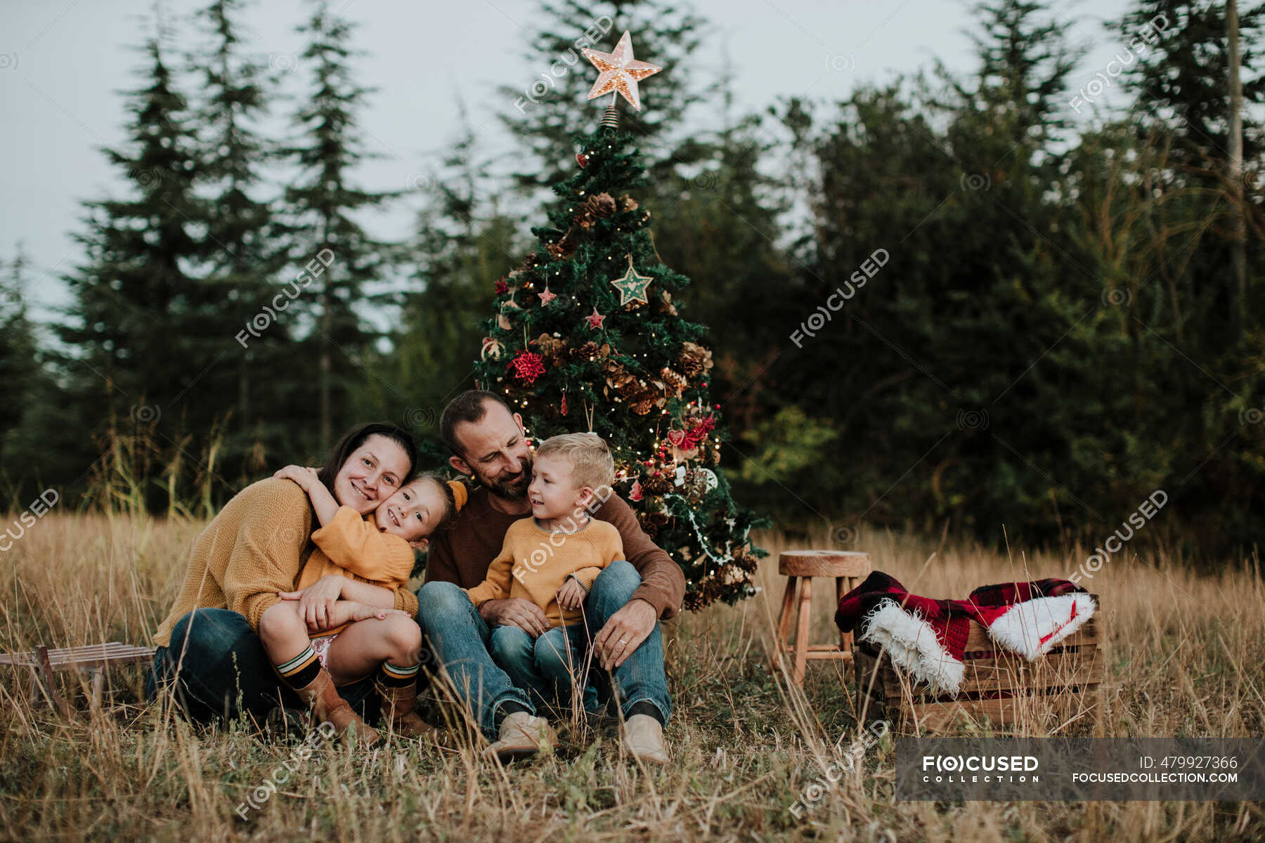 Smiling Family Sitting By Christmas Tree On Grassy Land At Countryside   Focused 479927366 Stock Photo Smiling Family Sitting Christmas Tree 