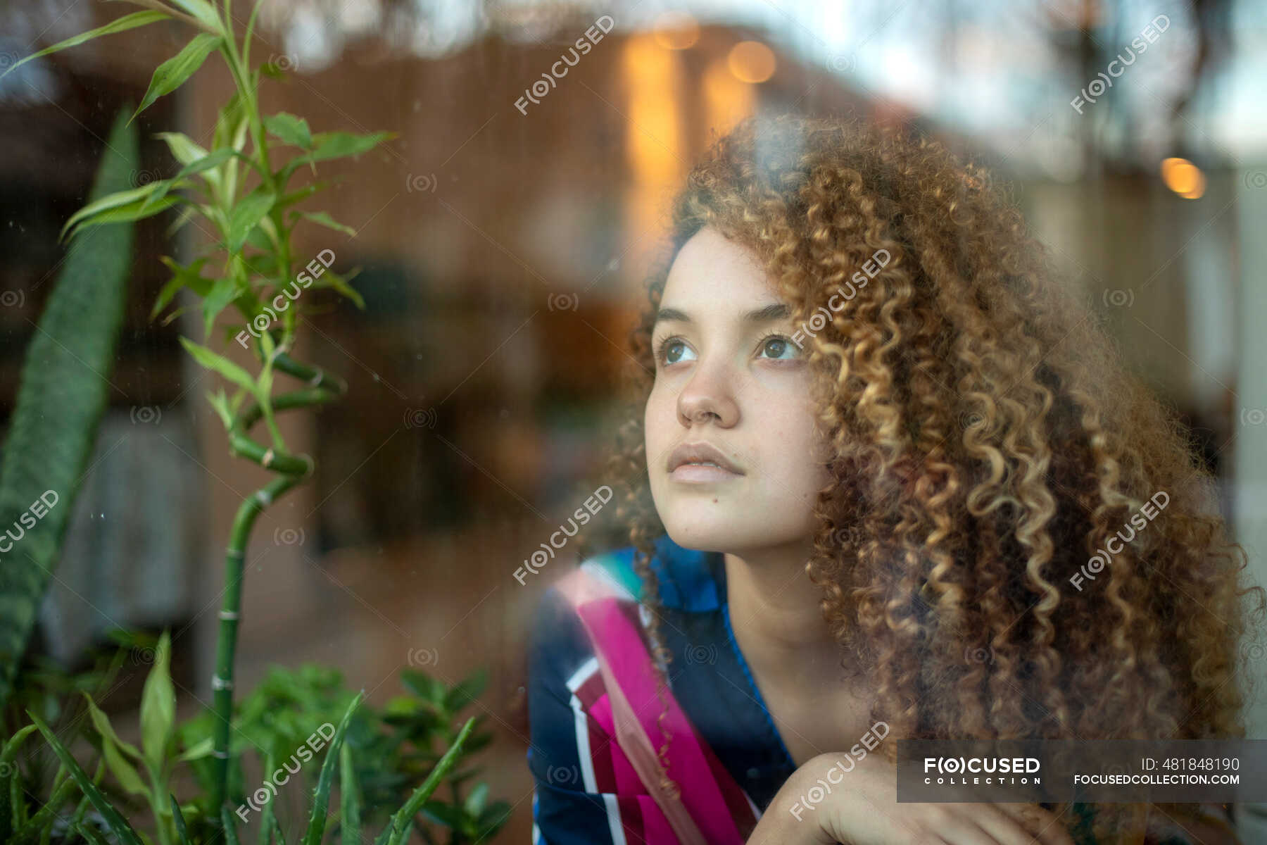 Contemplating young woman looking through window — one person, plant ...