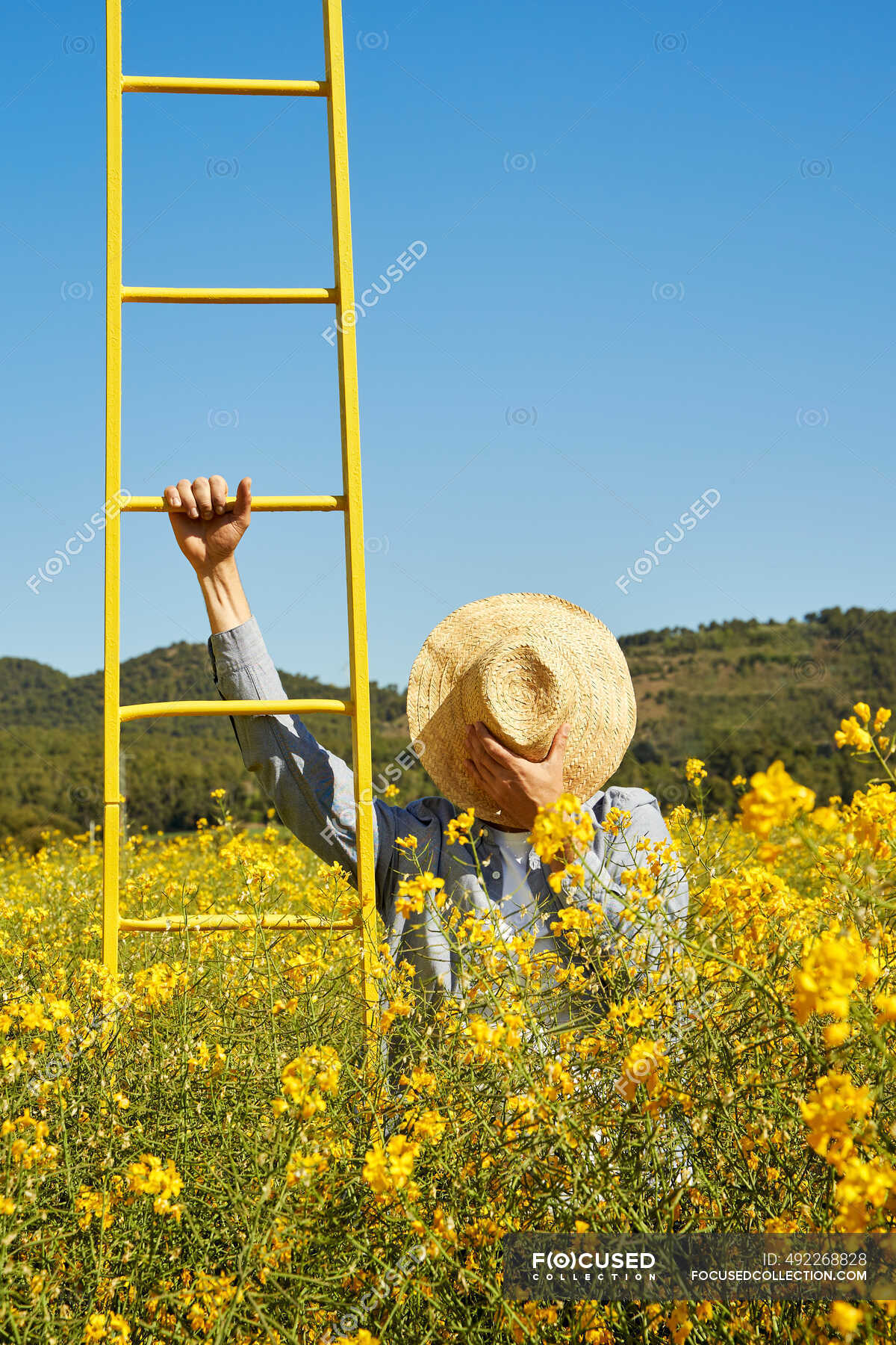 straw ladder hat