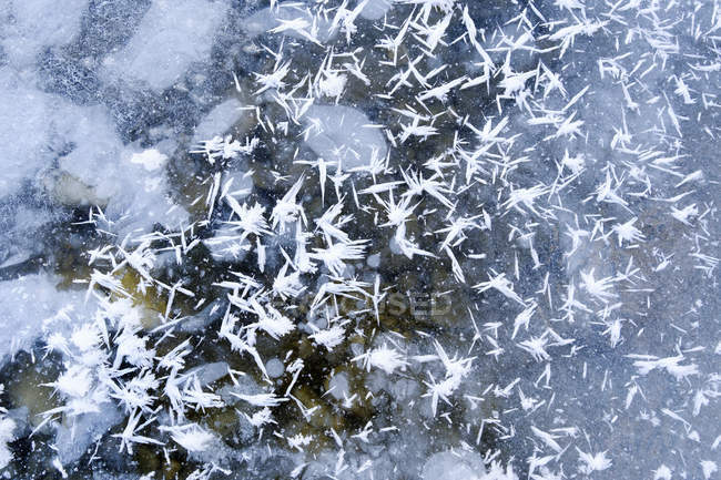 Primer plano de cristales de hielo en capa de hielo - foto de stock