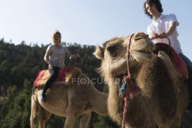 Marrocos, homem e mulher camelo equitação — Fotografia de Stock