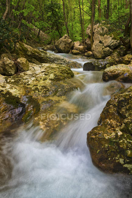 Fiume delle Prigioni nel Parco del Monte Cucco — Foto stock