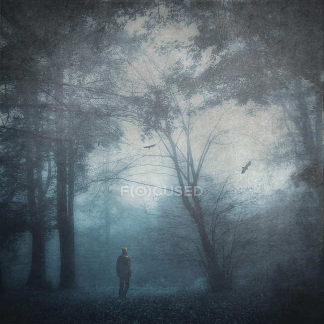 Homme marchant sur la clairière forestière au crépuscule — Photo de stock