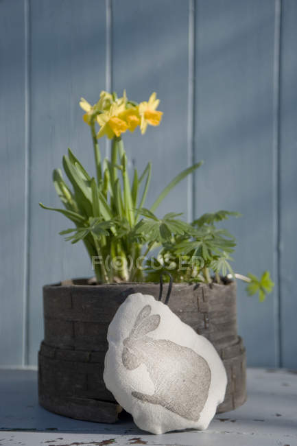 Cojín con conejito de Pascua y narcisos en maceta — Diy, naturaleza muerta  - Stock Photo | #165720598