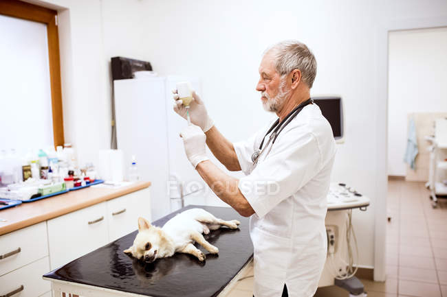 Tierarzt bereitet Spritze für Hund vor — Stockfoto