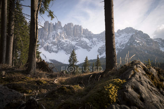 Latemar group in southern Rosengarten — Stock Photo