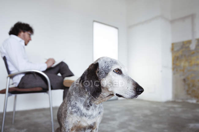Mongrel cane e uomo che scrivono nel taccuino — Foto stock