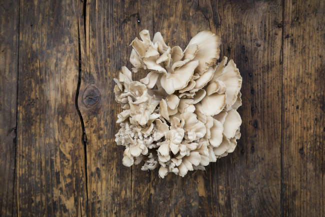 Maitake cogumelos na superfície de madeira — Fotografia de Stock