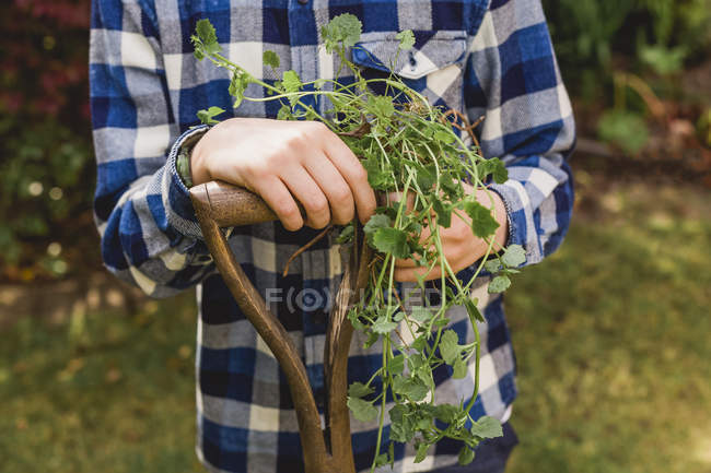 Boy holding spade and plants — Stock Photo