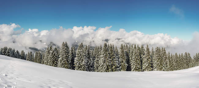 Alta via in inverno, Vorarlberg — Foto stock