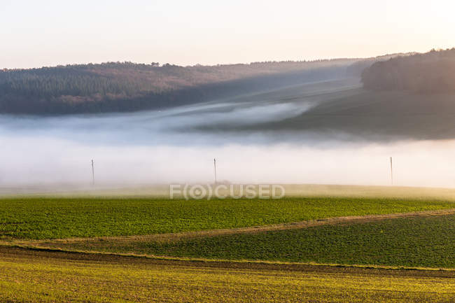 Вид на зеленое травяное поле с туманом на заднем плане, Германия, долина Таубер — стоковое фото