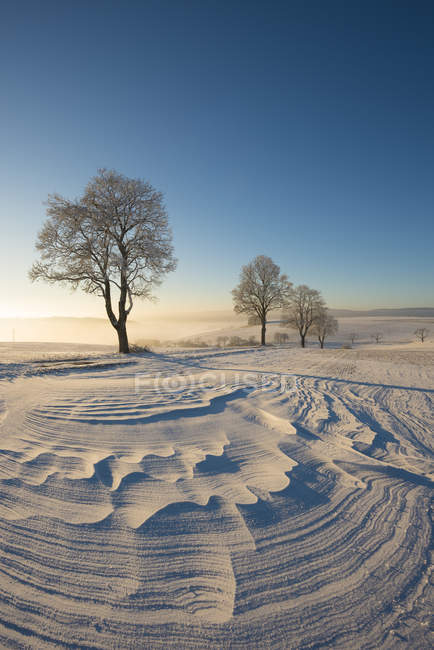 фото голая констанция