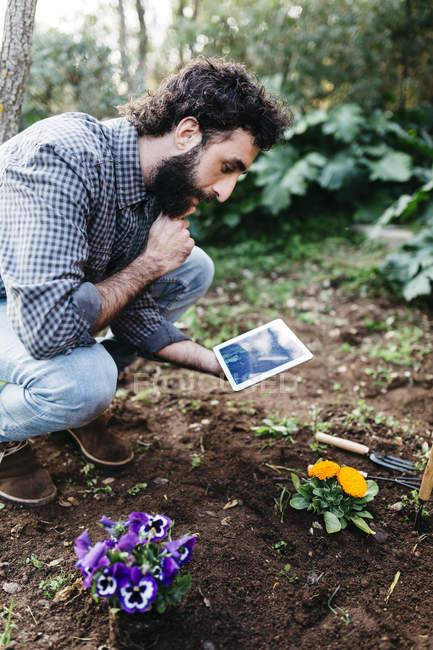 Hombre tomando fotografías de flores — Hipster, manos - Stock Photo | #172050932 Hombre tomando fotografías de flores — Hipster, manos - Stock Photo | #172050932